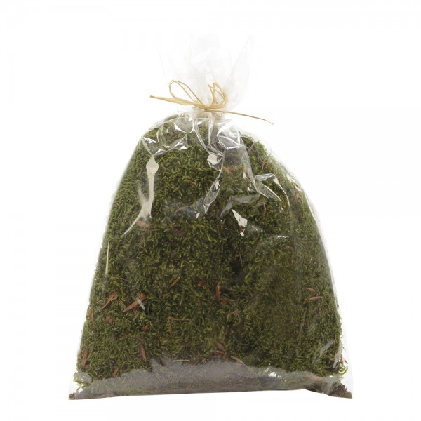 Musgo en bolsa 80 g 15 x 20 cm